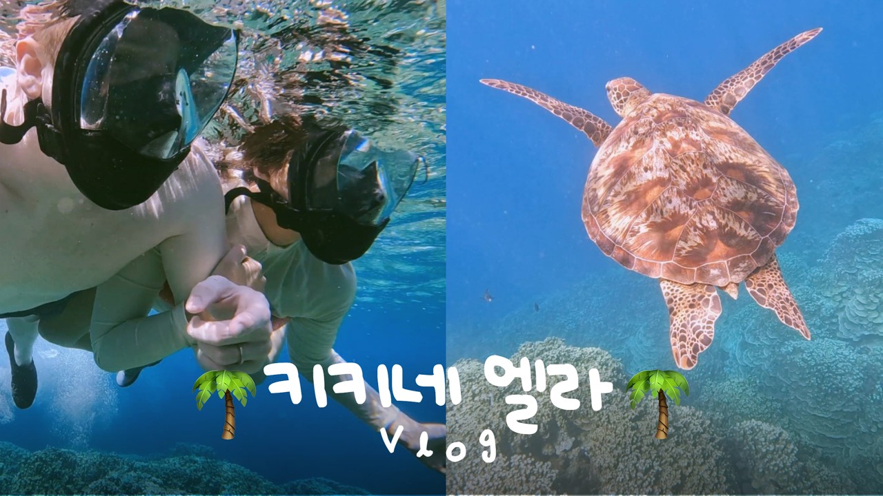 Плавание с морскими черепахами на Гуаме! 🐢🌊 | Интернациональная пара | Влог семьи военного