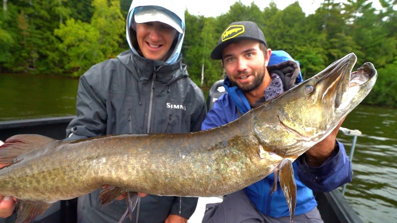 TROPHY MUSKY Fishing In Early Fall!!