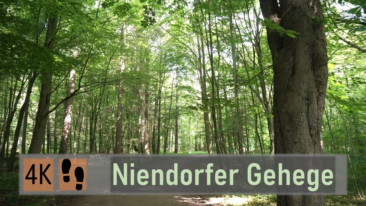 Walk in Hamburg-Niendorf 🇩🇪 | 4K | Niendorfer Gehege