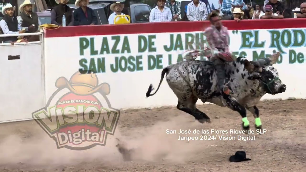 Jaripeo De San José de las Flores 2024Pura Monta UNA TRAS OTRA 🐂🐂🐂
