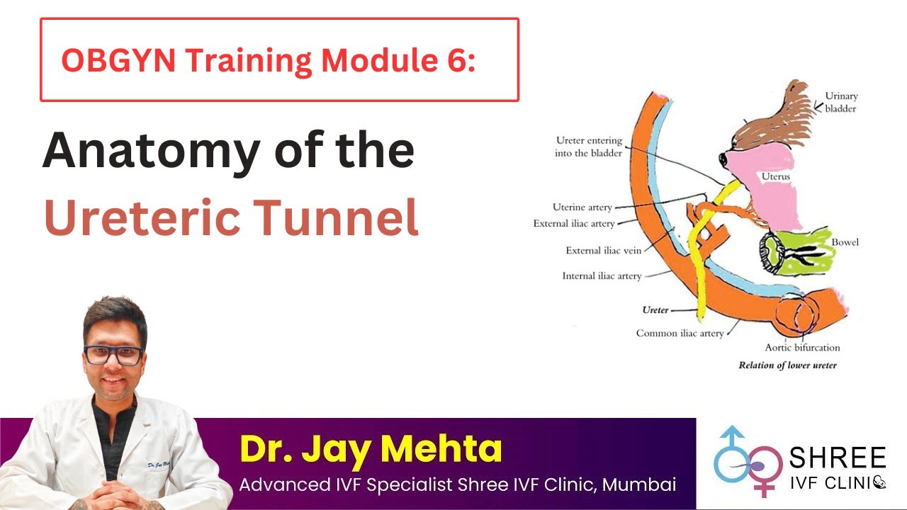 OBGYN Training Module 6- Anatomy of the Ureteric Tunnel | Dr Jay Mehta