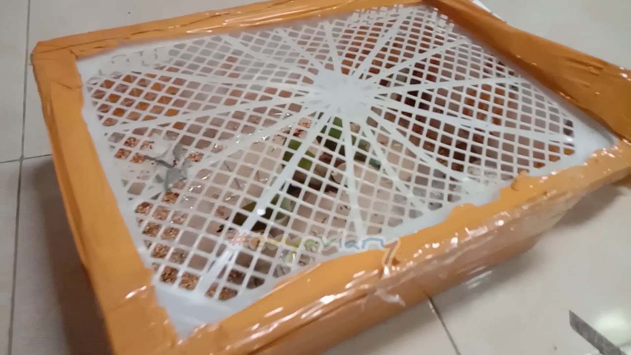 Unboxing Emprit Pelangi - Gould Amadine