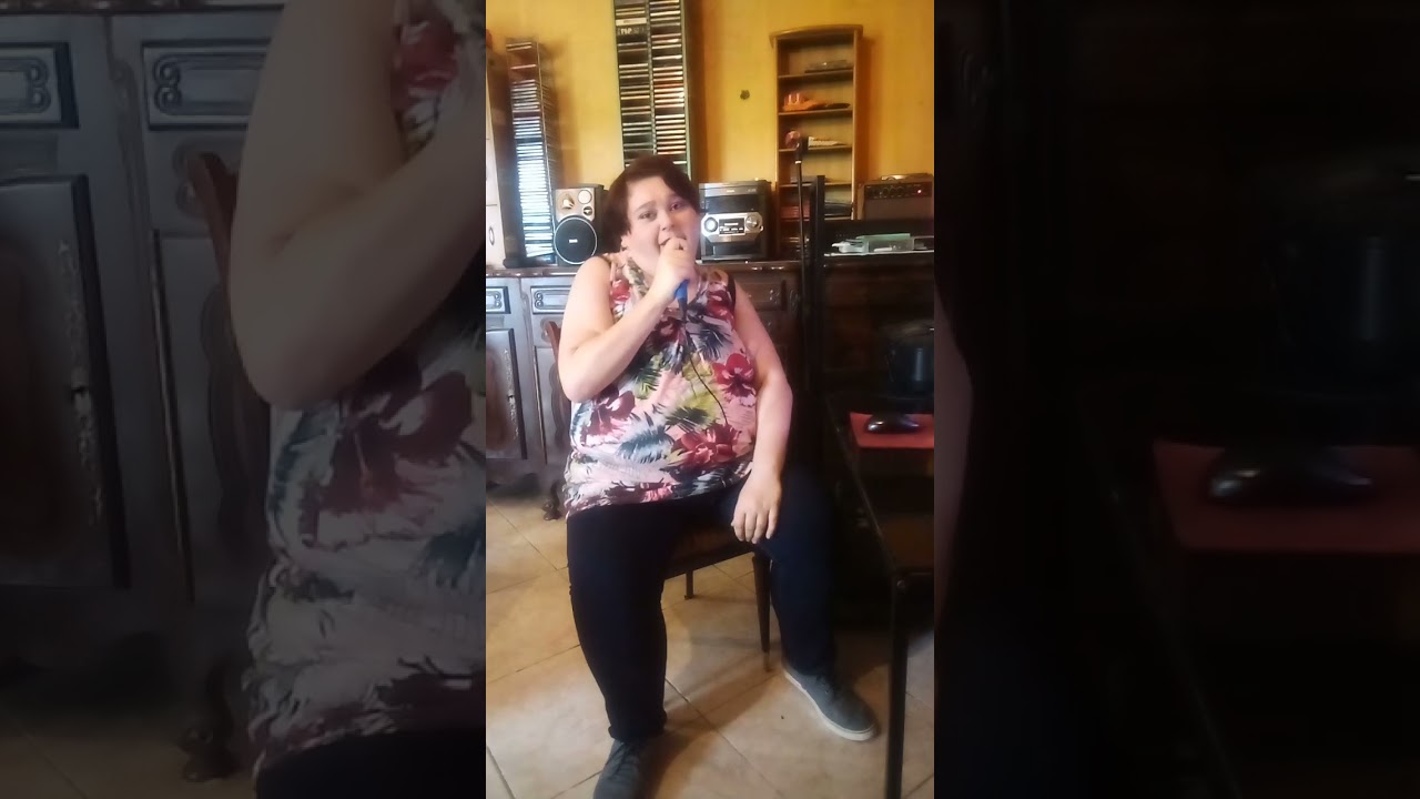 les b&ecirc;tises - Sabine Paturel (cover by M&eacute;l)