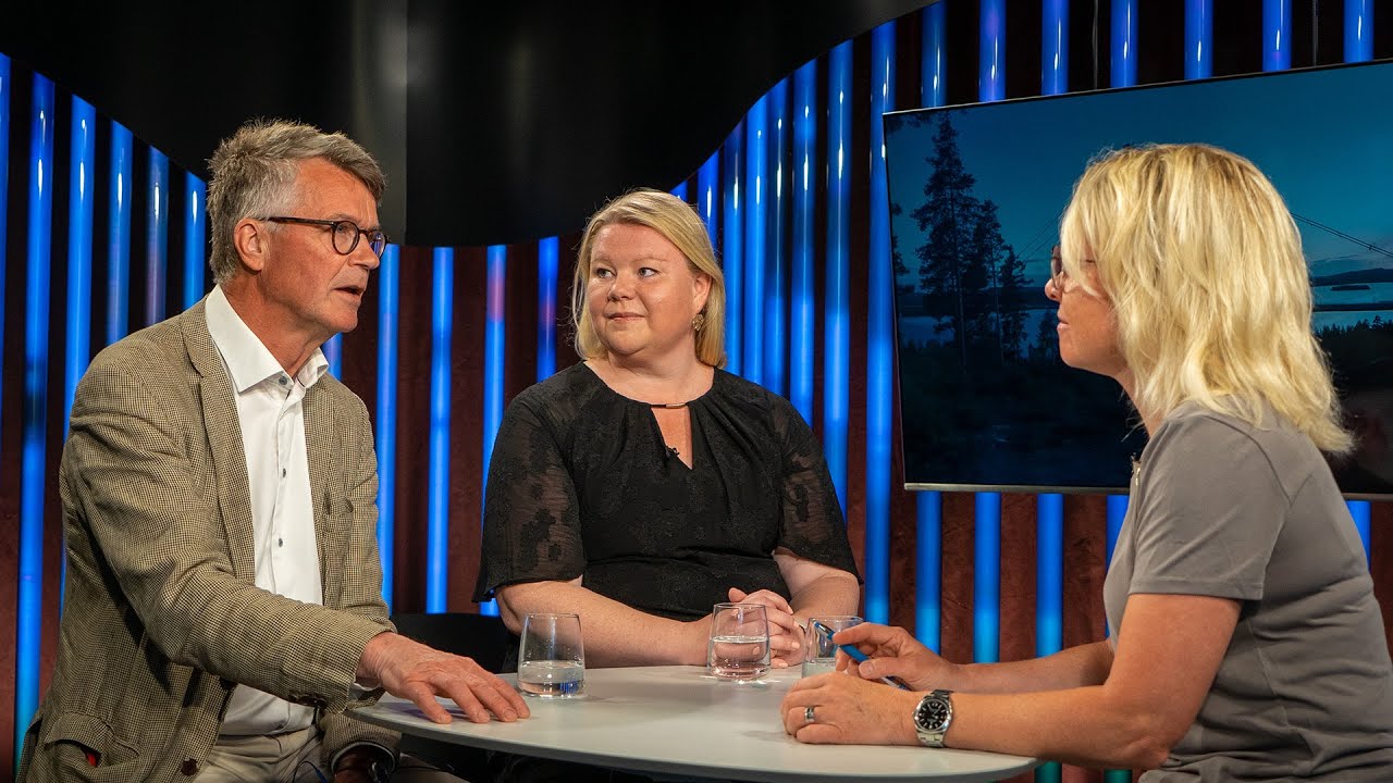 Tema: Hur ska fler flytta norrut till jobben?