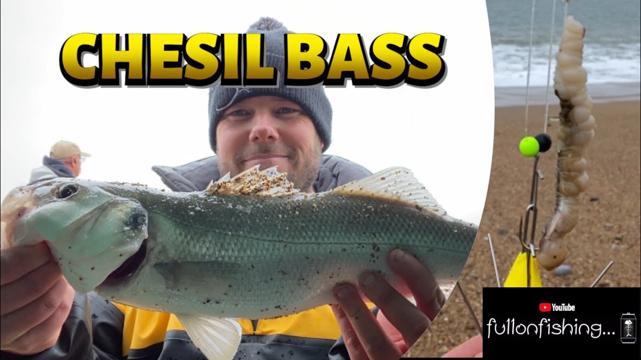 Sea Fishing CHESIL BEACH BURTON BRADSTOCK on HIVE BEACH. UK Dorset Shore Angling 2023. BASS