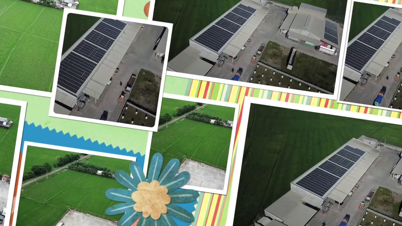 550 kWp Solar Project Photo AVP
