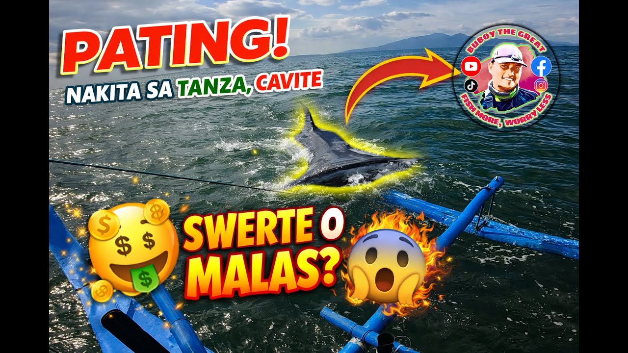 Pating! Malas daw sila pag nagpakita?