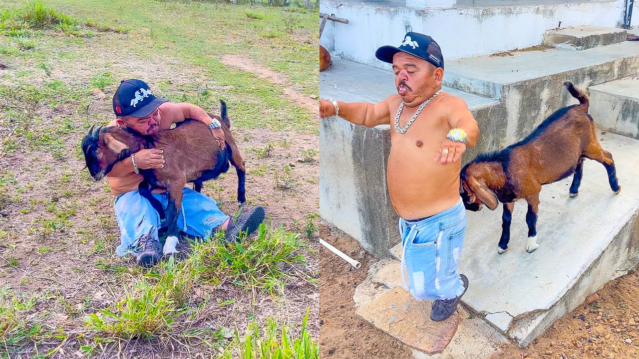PILILIU FOI MEXER COM O BODE BRAVO E SE LASCOU 😱😂 | PILILIU DA RESENHA