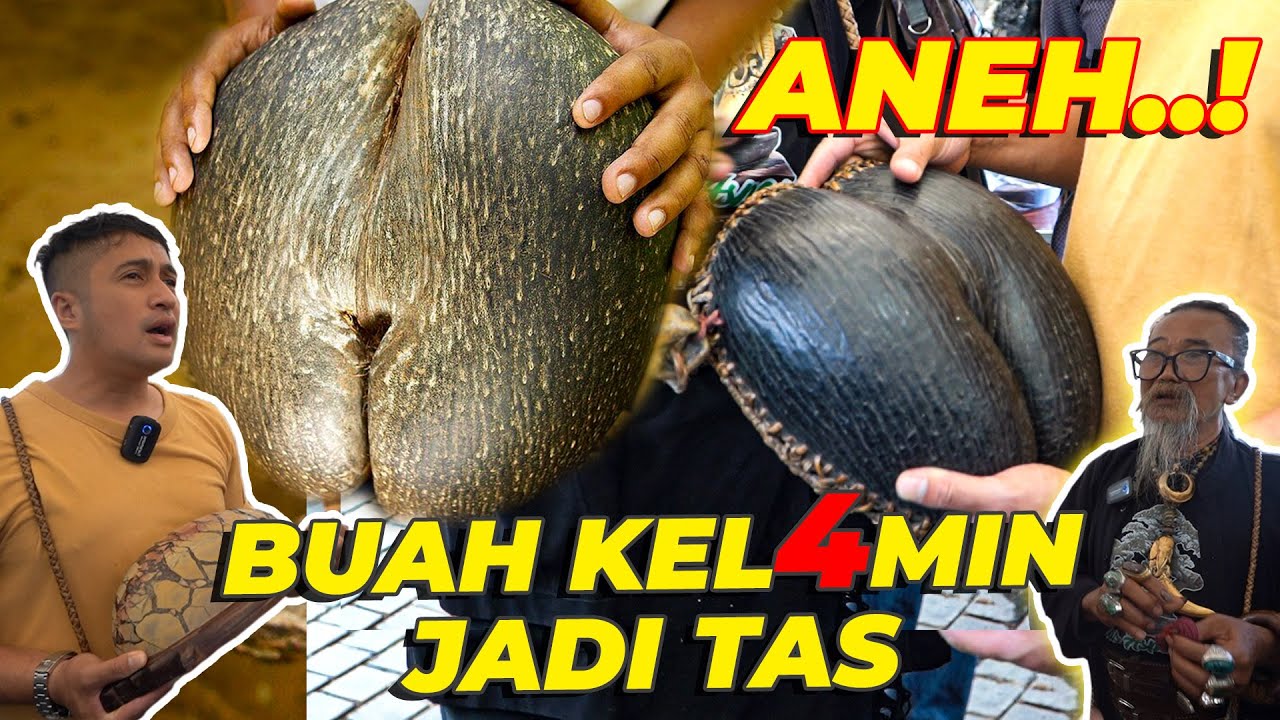 KAKEK INI SAKTI ❗ ADA BATU METEOR SAMPE BUAH YANG SUDAH PUNAH