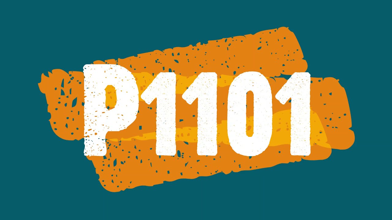 P1101 1-3