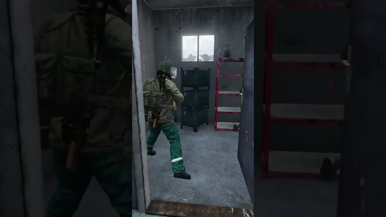 What happens in novo PD stays #dayz #gaming