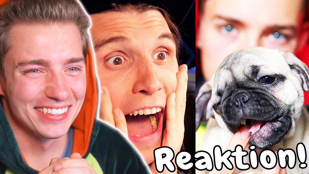 Paluten REAGIERT auf Mexify's HUNDE WELPEN! | Mexify Reagiert