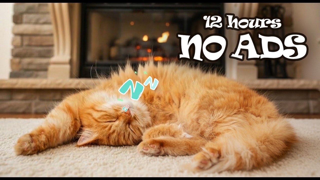 Music Sleep For Cat 🐈 Fireplace Ambience & Relaxing Piano for Anxiety Relief