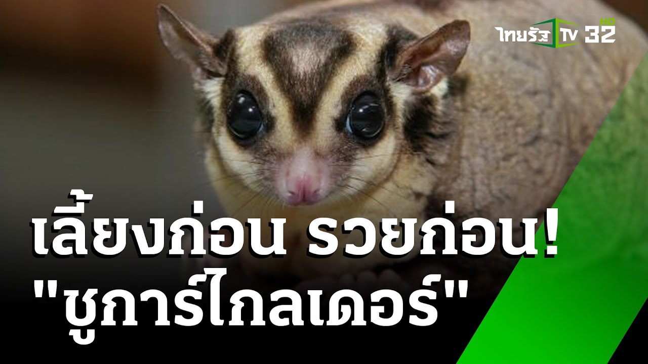 เลี้ยงก่อน รวยก่อน . . . 