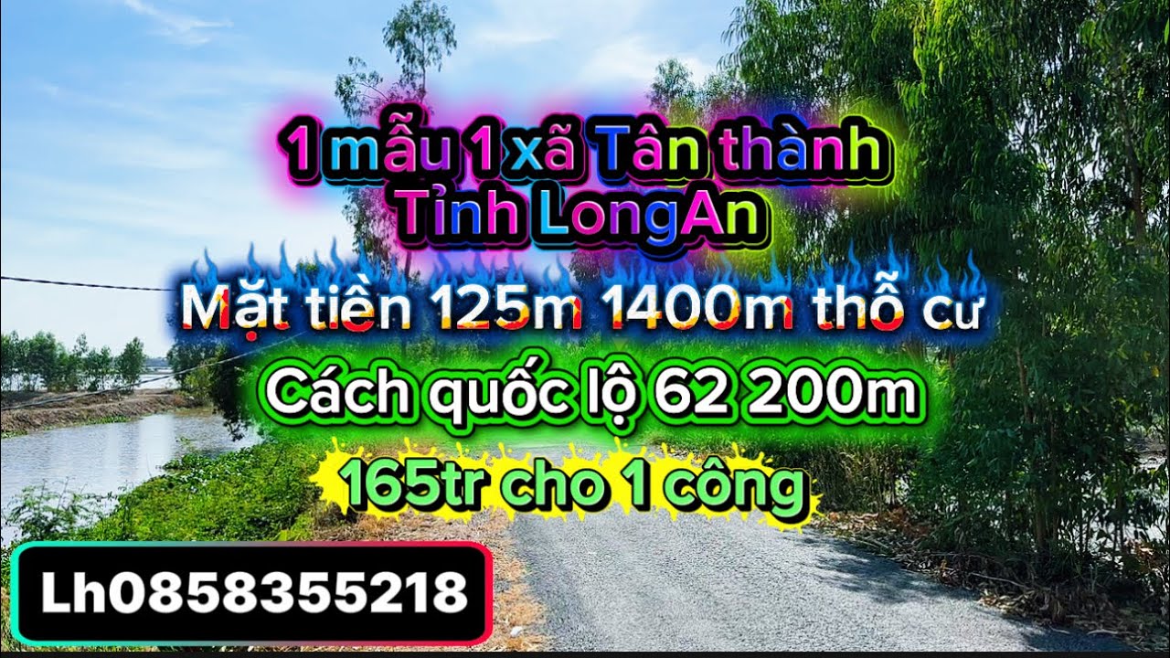 1 mẫu 1 xã Tân thành tinh Long An 1400m thỗ cư cach quốc lộ 62 200m 1tỷ650tr cho 1 mẫu lh0858355218