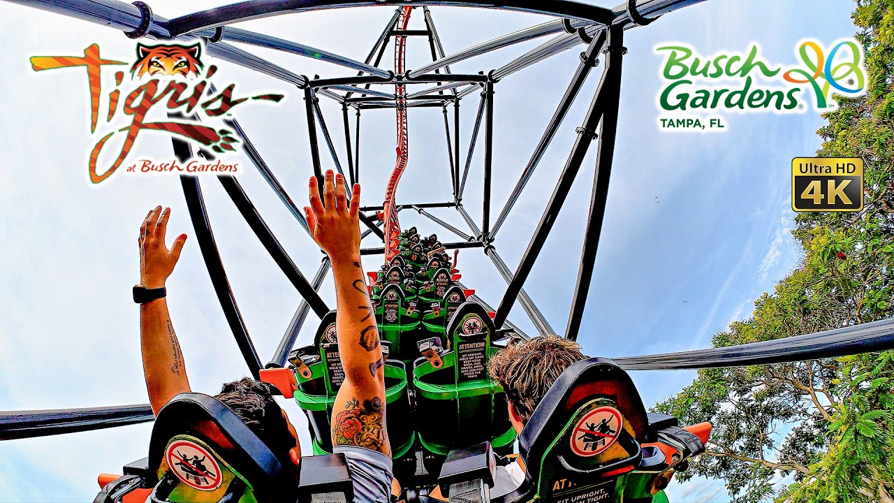 Tigris Roller Coaster Back Seat On Ride 4K POV Busch Gardens Tampa 2025 07 08