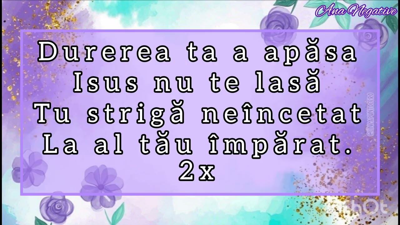 NEGATIV TON BĂIAT| Eu strig mereu/ O Domnul meu