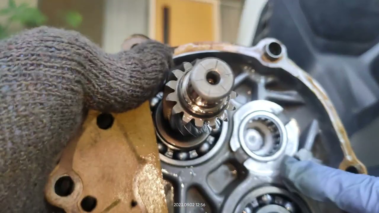 Rear tyre bearing replacement Zafferano/Silverblade250