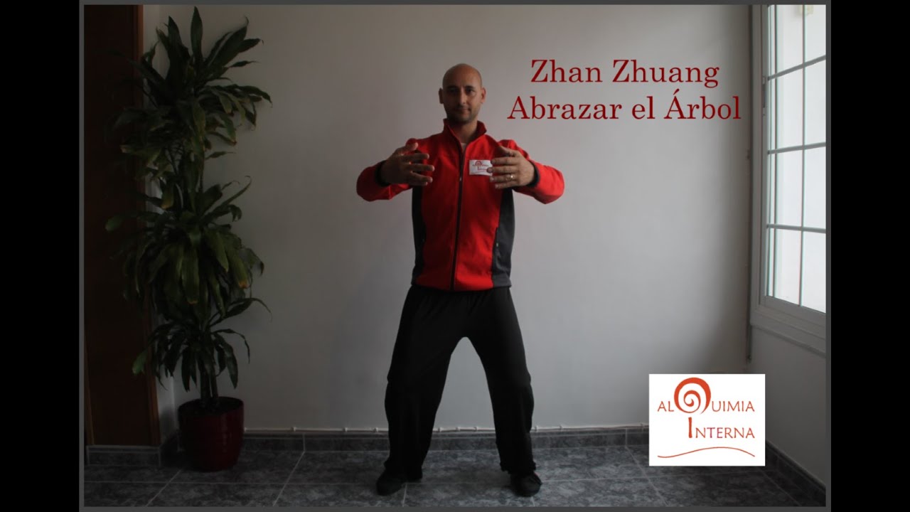 Zhan Zhuang Qigong - Abrazar el Árbol