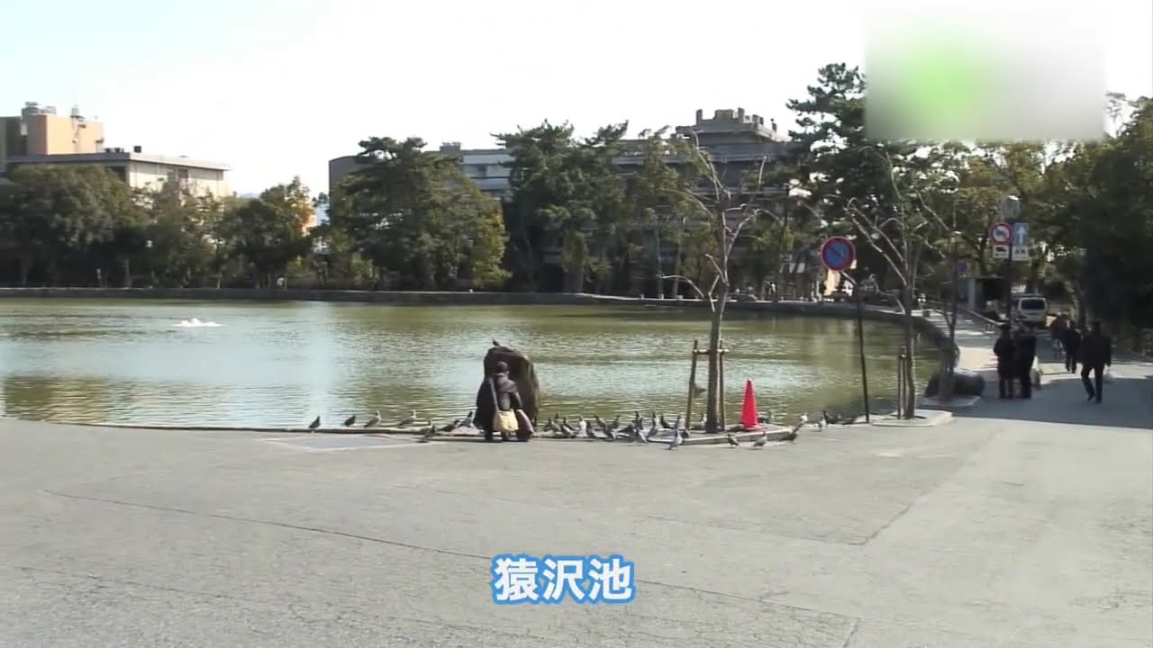 奈良駅～猿沢池 - 地域情報動画サイト　街ログ