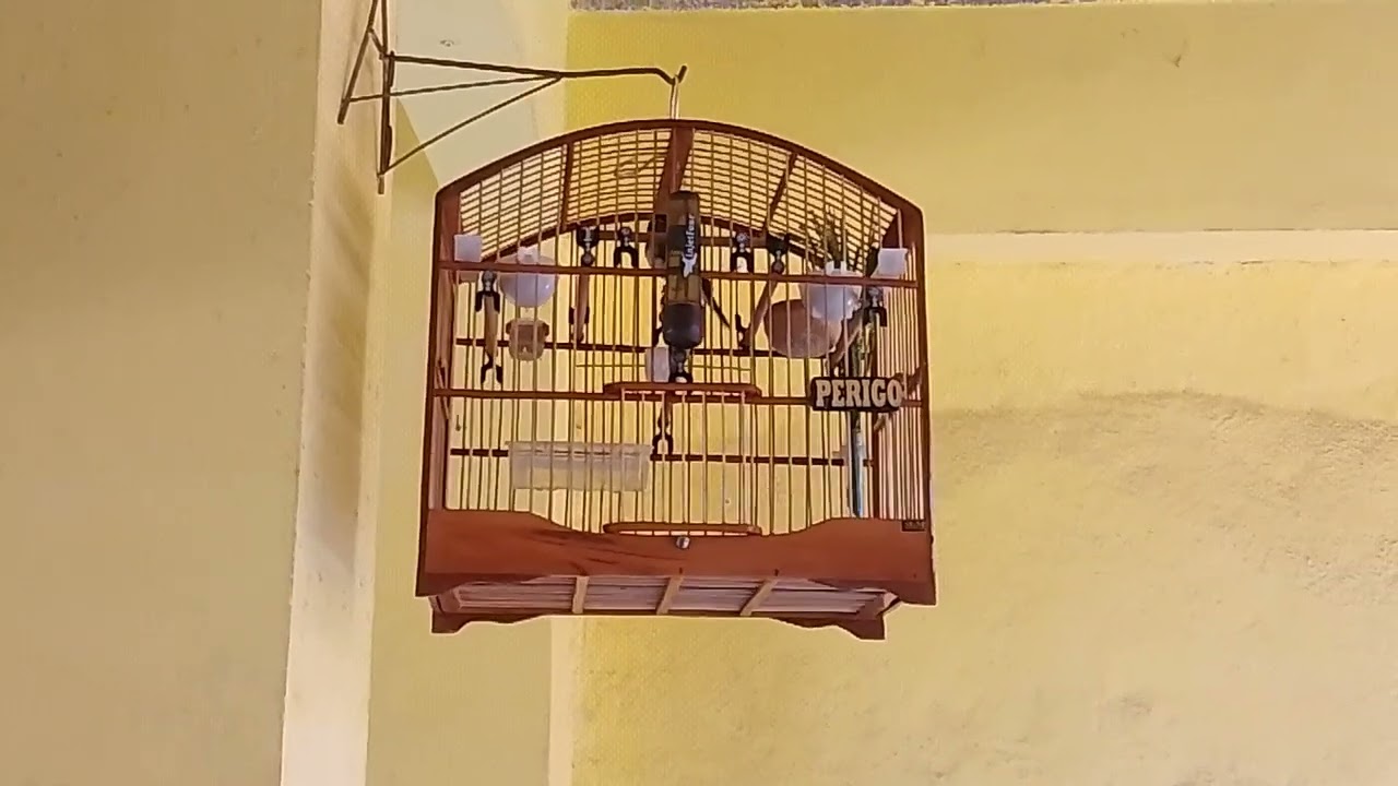 26 de dezembro de 2025