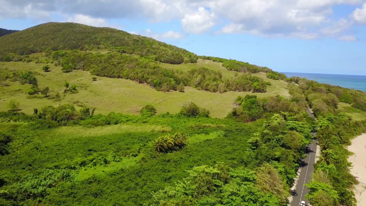 Guadeloupe   Plage de Cluny