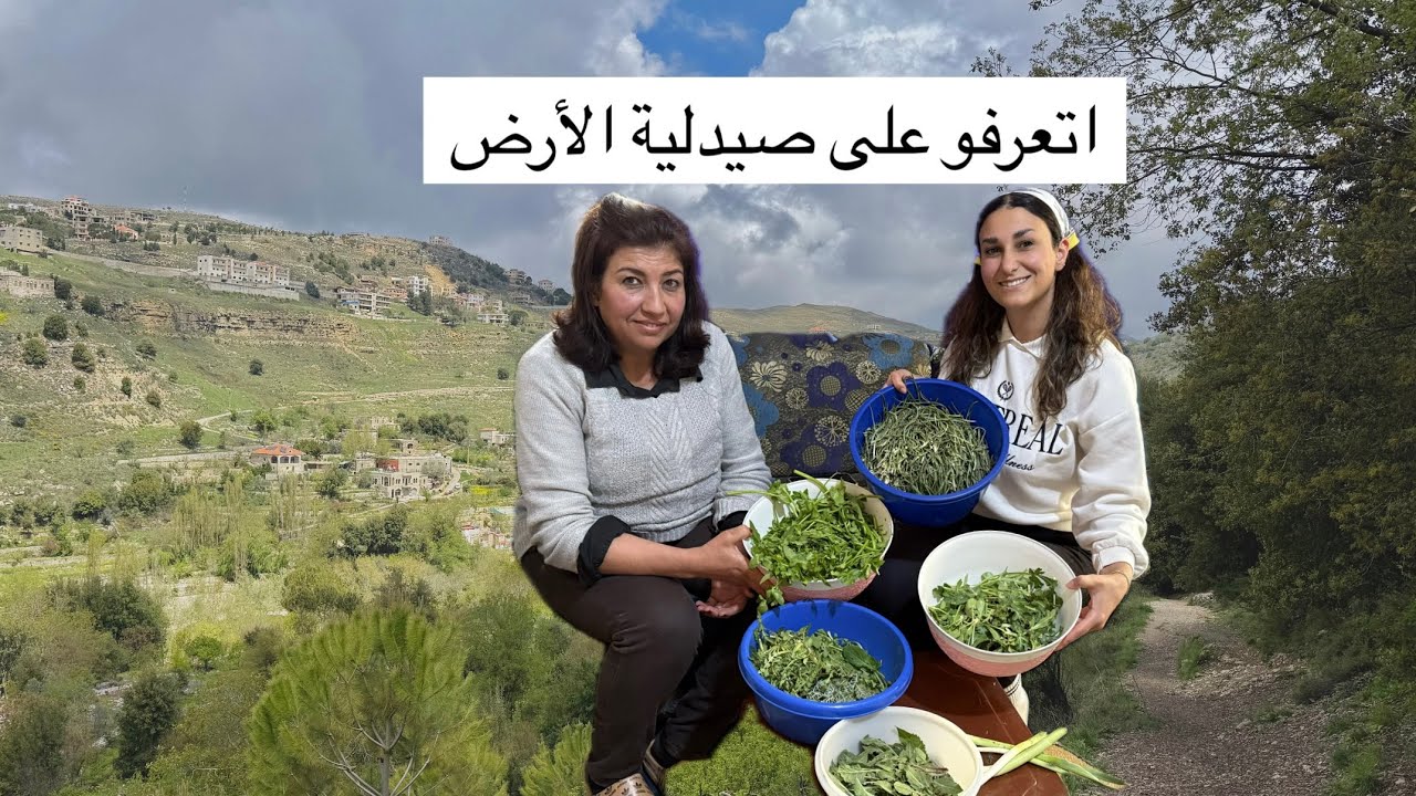 شو بياكلو اهل الجبل في لبنان 🧐؟ طبخنا عدة انواع من الحشيش 🌱🇱🇧