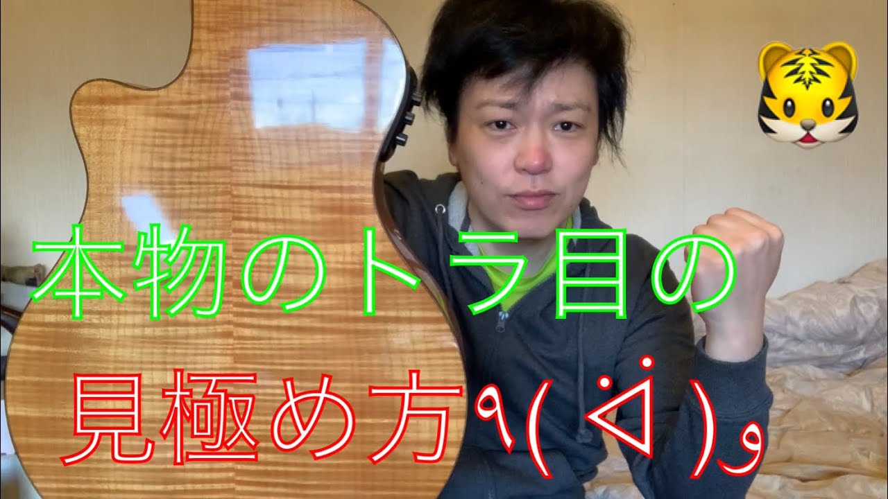 【ギター・ウクレレ】本物のトラ目の見極め方