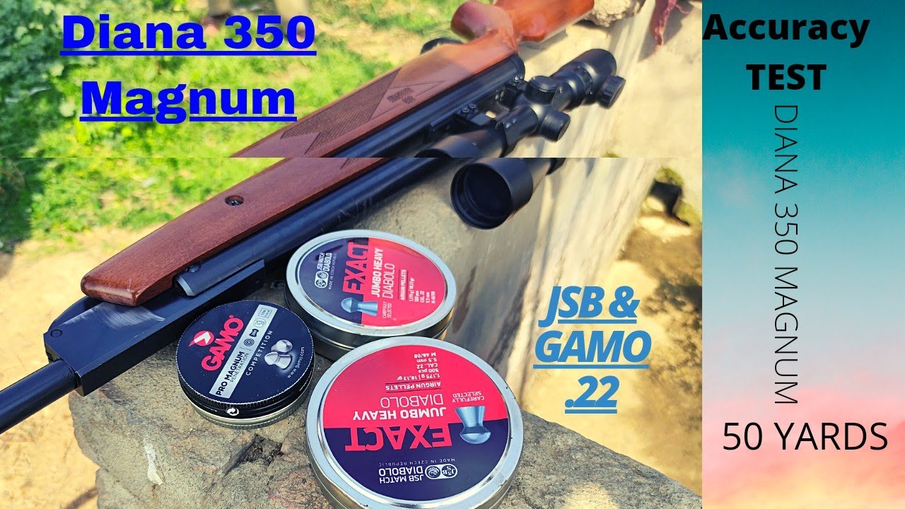 Diana 350 Magnum Accuracy Test | 50 yards | springer!!!