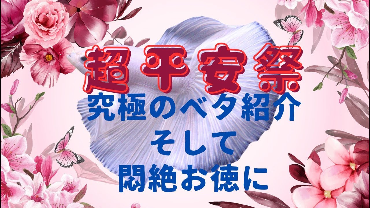 悶絶お得な『超平安祭』ベタ紹介ライブ