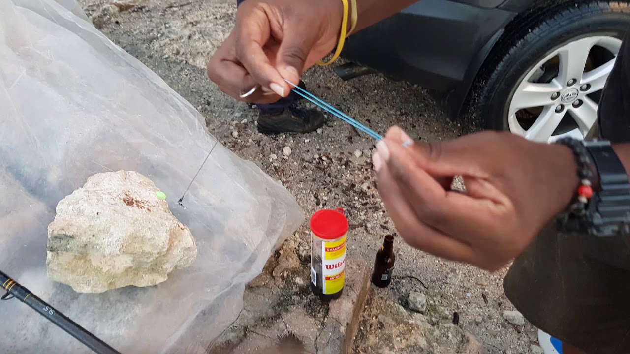 Как я завязываю черное морское яйцо/морского ежа/сапожника