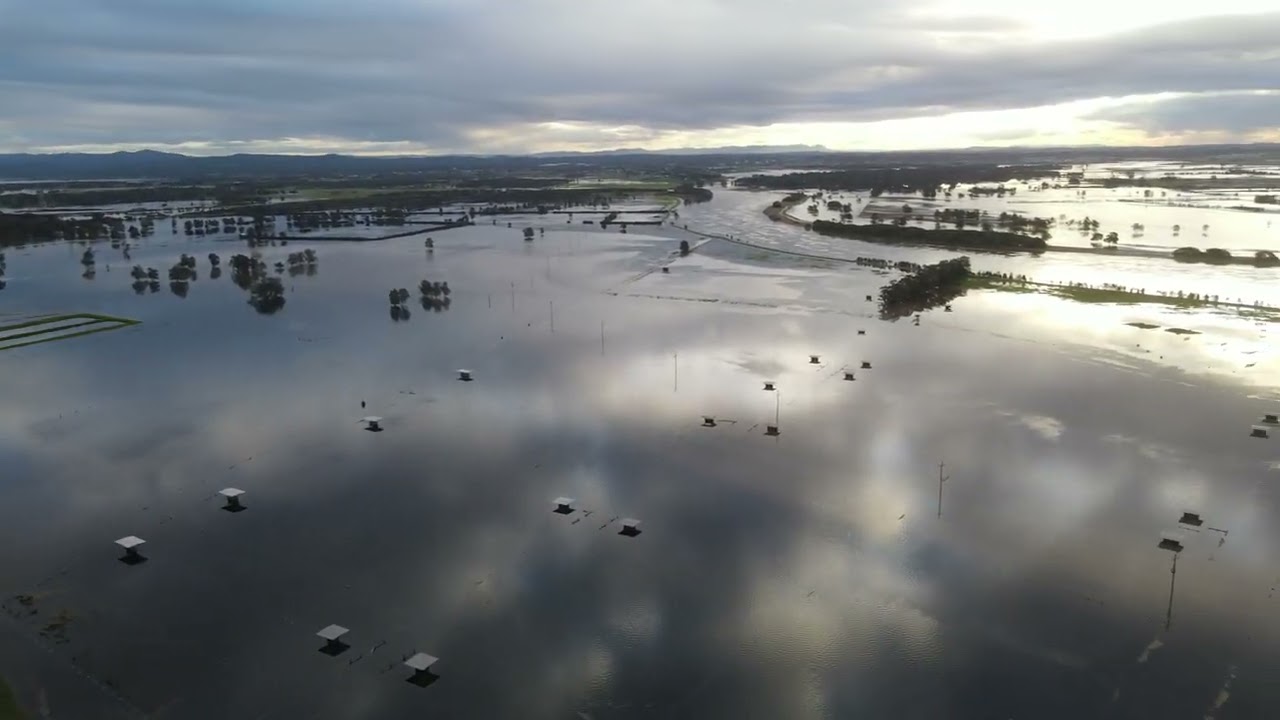 Hunter River Flooding, Heatherbrae, July, 2022