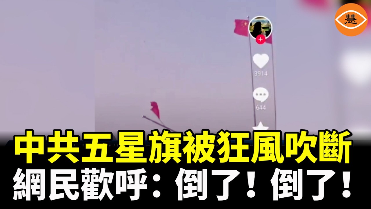 【快報】湛江官方闢謠祭神換乩童 網民大怒：把我們當傻子？中共五星旗被風吹斷，網民歡呼；正月未過銀行已盯上孩子壓歲錢 ；港人深圳買過年禮盒送親戚  打開時驚呆了