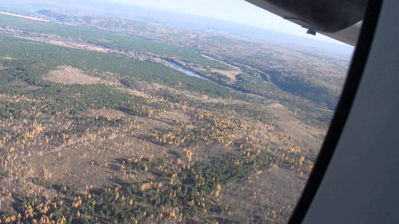 Siberian taiga
