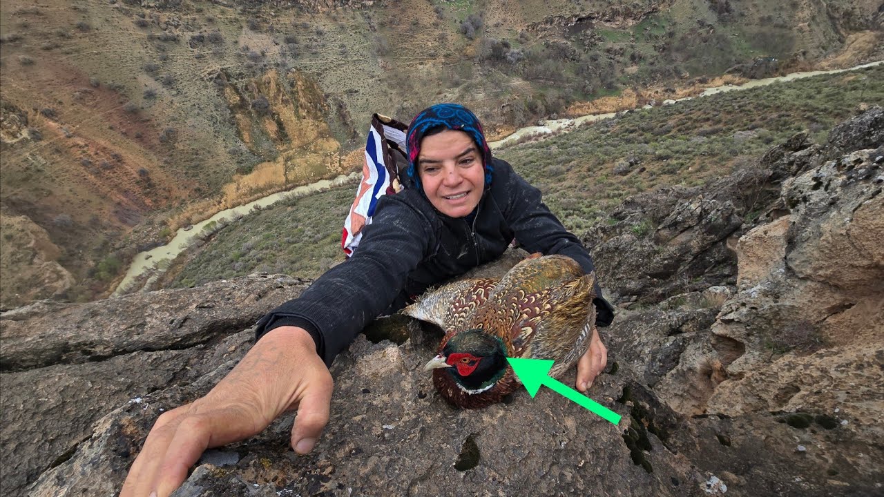 Mountain Woman: A strange bird is found in the mountains by a nomadic woman
