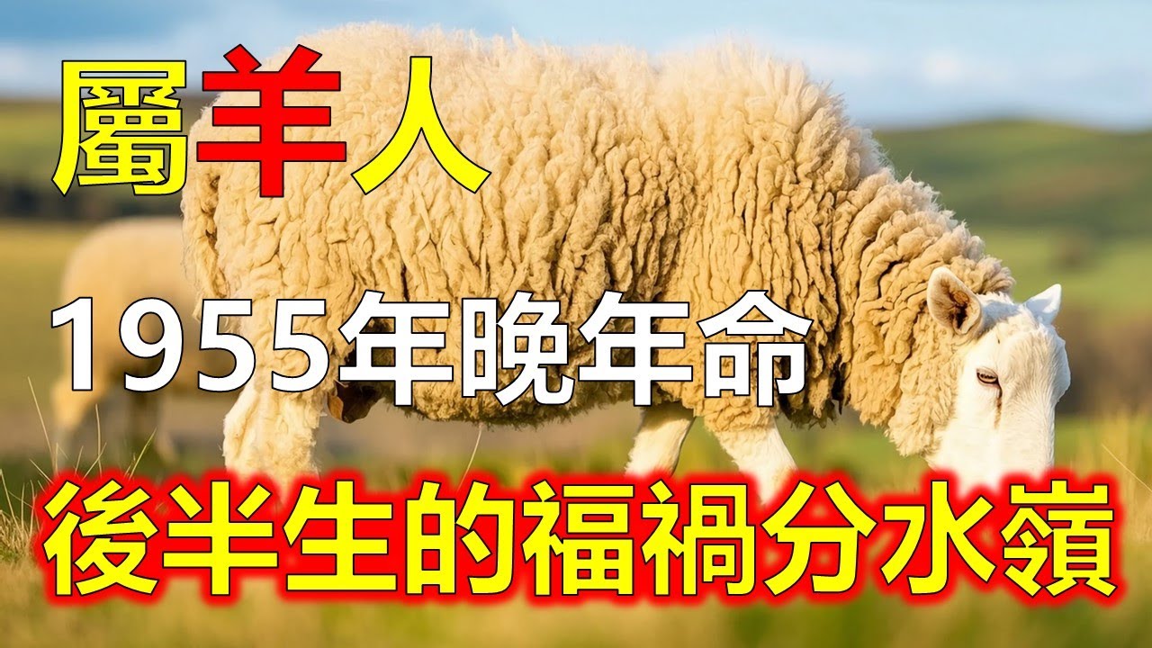 1955乙未羊後半生的福禍分水嶺，就藏在一個不起眼的條件裡，有的人一生都沒發現！#2026羊#生肖羊 #1955 羊