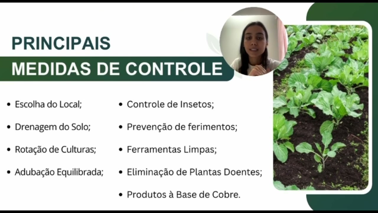 Apresentação ACE Doenças Causadas por Bactérias 