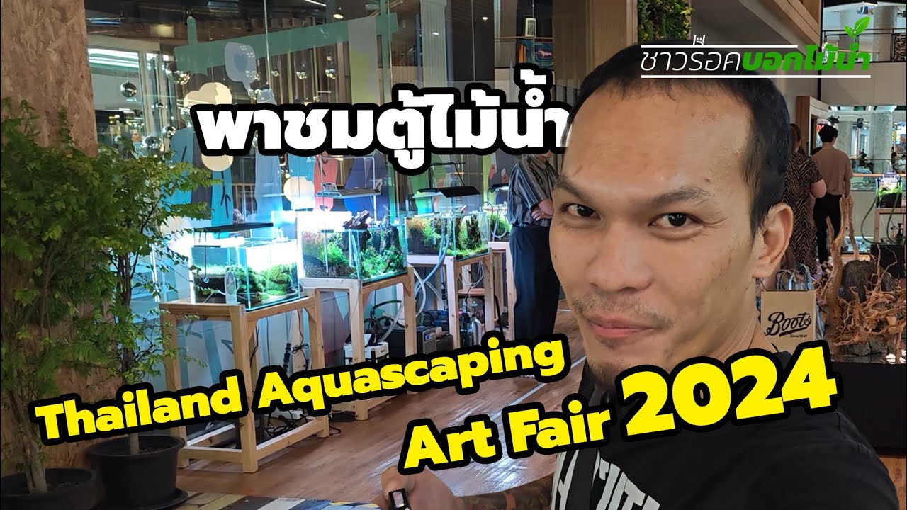 พาชมงานประกวดตู้ไม้น้ำ TAAF 2024 (Thailand Aquascaping Art Fair) ณ ซีคอนสแควร์​ ศรีนครินทร์