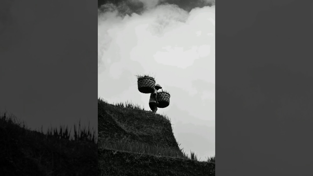 Black and White Photography - Rural Scene