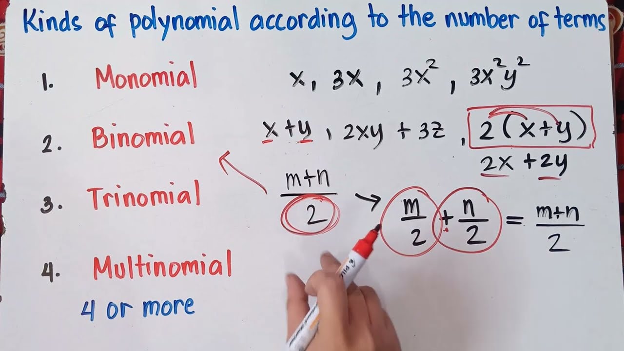 Identify each algebraic expression if it is POLYNOMIAL or NOT | Identify its Degree and Terms |