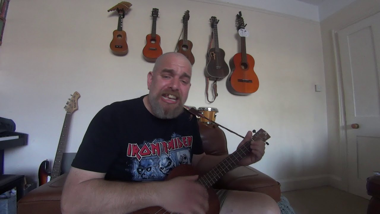 I Need A Dollar,  Ukulele cover (baritone)