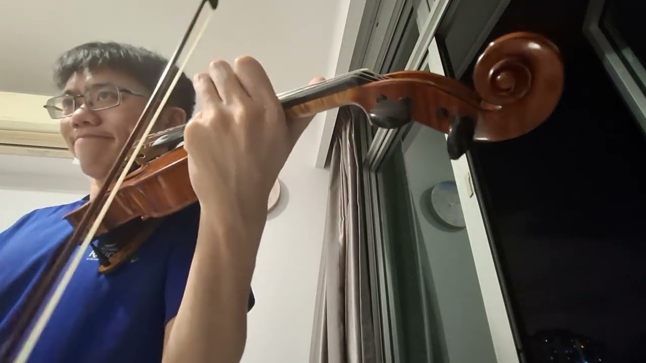 Beethoven Violin Concerto Mov 1 Mark 16 to 21