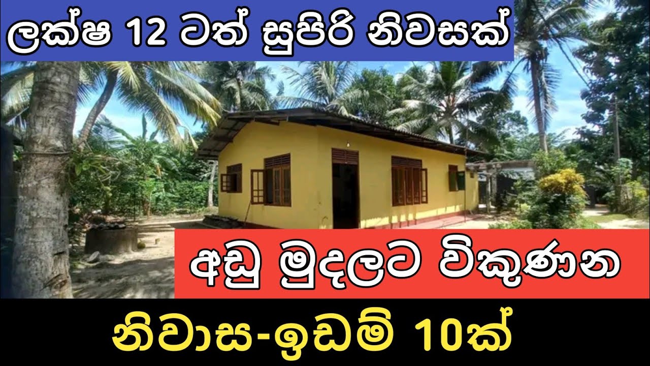 පට්ට අඩුවට ඉඩම් ගෙවල් 10ක් | Aduwata idam gewal | Hous for sale | Land sell | Ikman selling | 2024