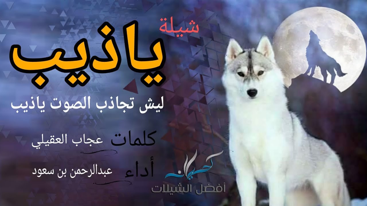 شيلة ياذيب ليش تجاذب الصوت ياذيب | أداء عبدالرحمن بن سعود | 2017