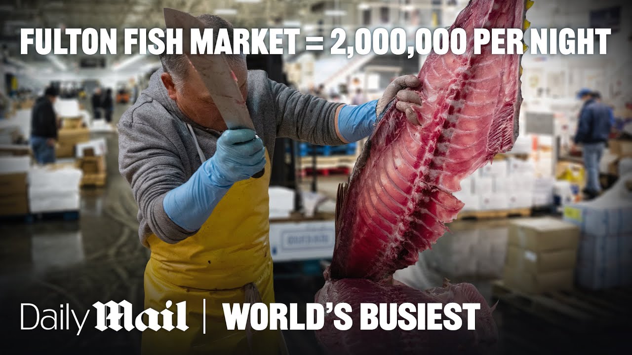 America’s Largest Fish Market Moves 2,000,000 lbs of Fish Nightly | World’s Busiest | Daily Mail