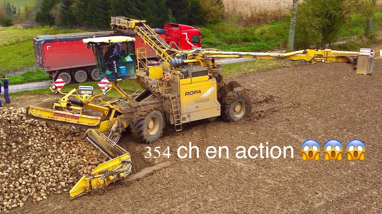 Betteraves 2021: 354 ch en action 😱😱😱 Ropa Maus 5 !!!!