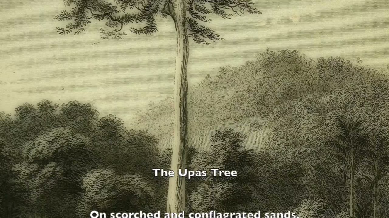 The Upas Tree, by A. S.  Pushkin, read in Russian and in English