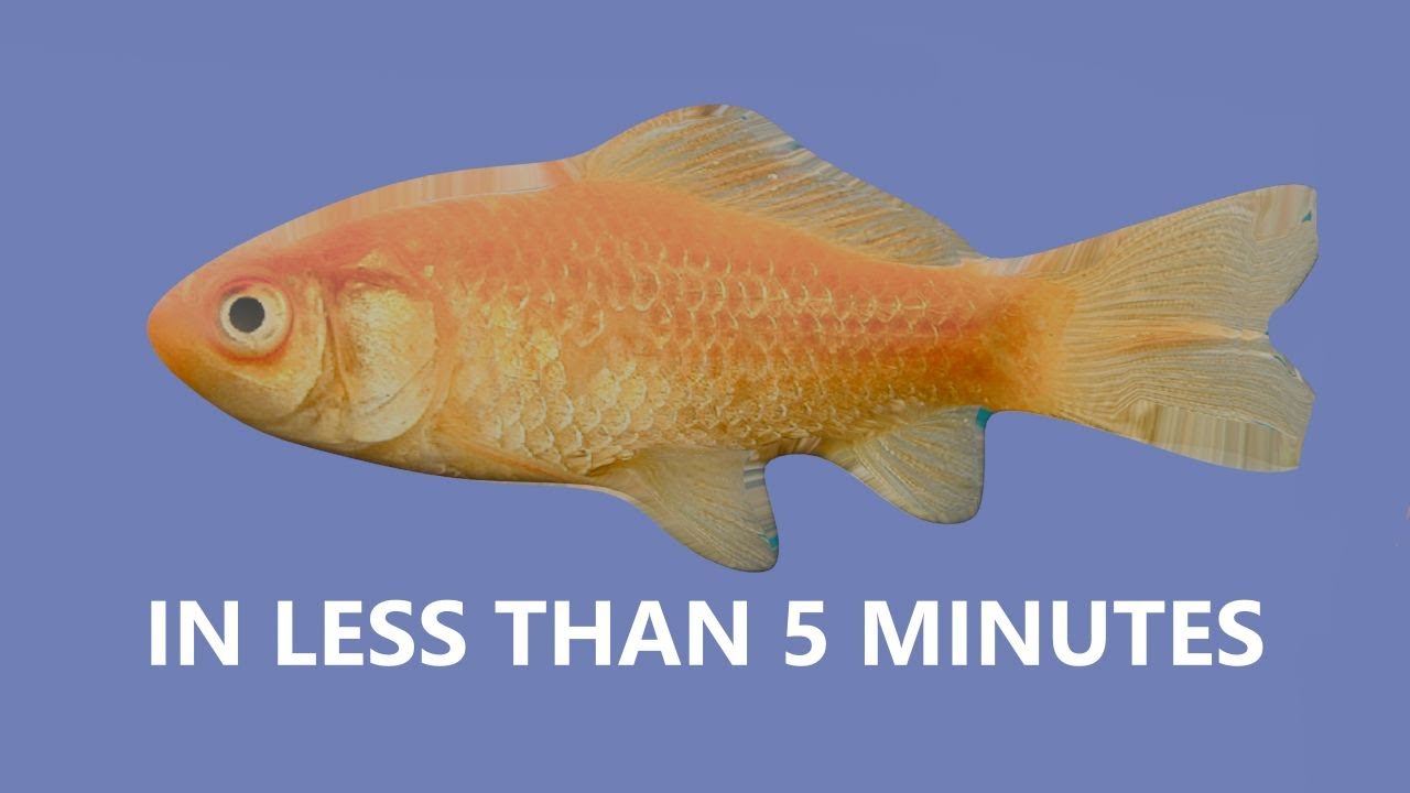 How to create a gold fish in Blender Tutorial