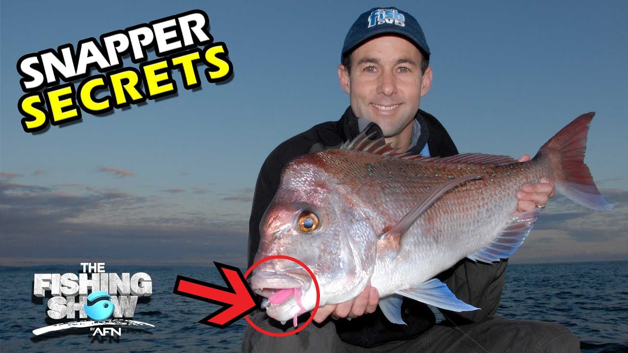 BIG REEF SNAPPER! Finessing Snapper on Softies