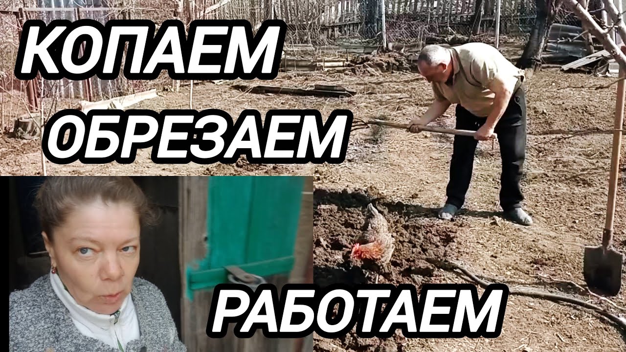 Серёжа копает, я подсыпаю. Работа кипит. Яйца готовы к закладке